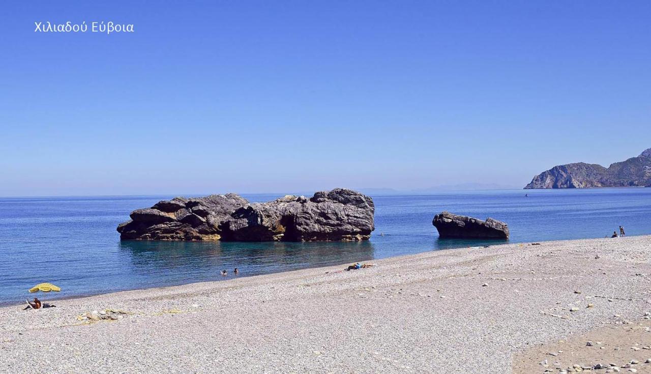 Fabulous Central Apartment Close To The Sea! Chalkís Esterno foto
